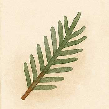 Symbolbild Qualitätskultur