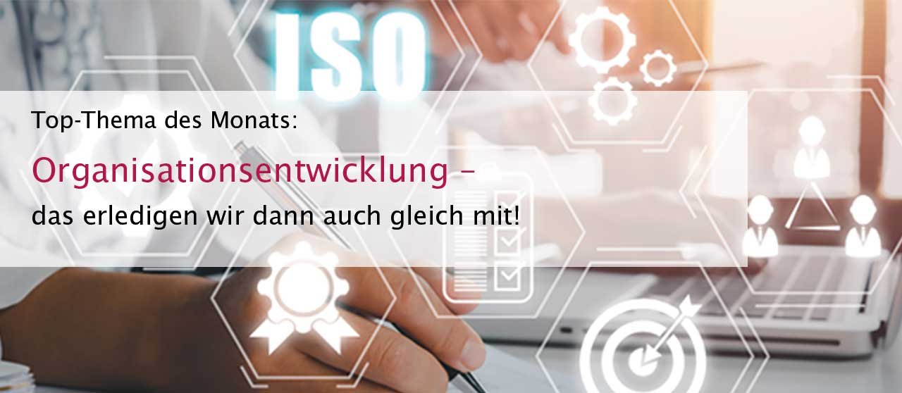 Organisationsentwicklung-das-erledigen-wir-dann-auch-gleich-mit